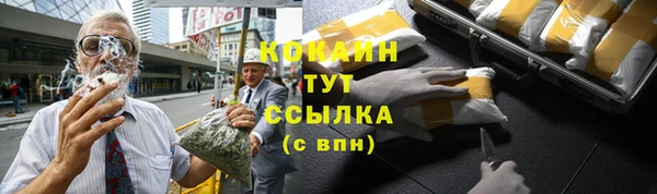 шишки Заволжье