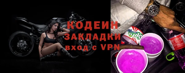 шишки Заволжье
