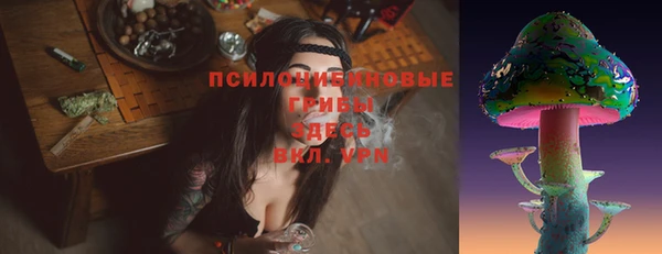 шишки Заволжье