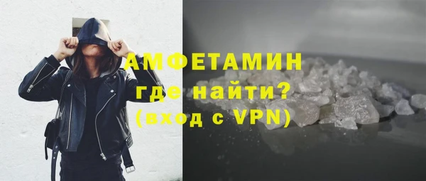 шишки Заволжье