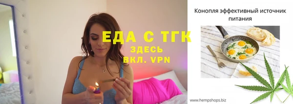 шишки Заволжье
