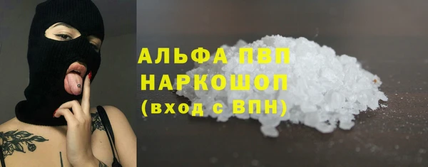 шишки Заволжье