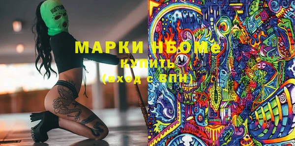 шишки Заволжье