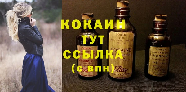 шишки Заволжье