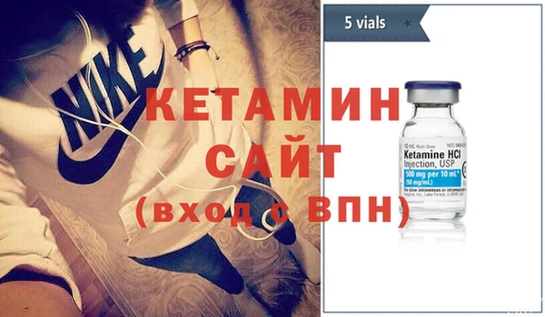 шишки Заволжье