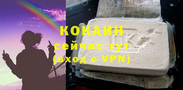 шишки Заволжье