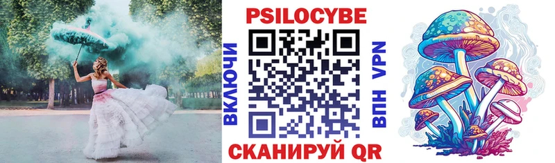 Галлюциногенные грибы Psilocybine cubensis  Купить где  Иннополис 